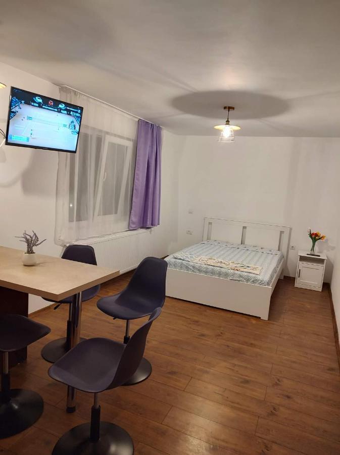 Garsoniera Dania&Petru 1 Apartment Târgu Ocna Exterior foto