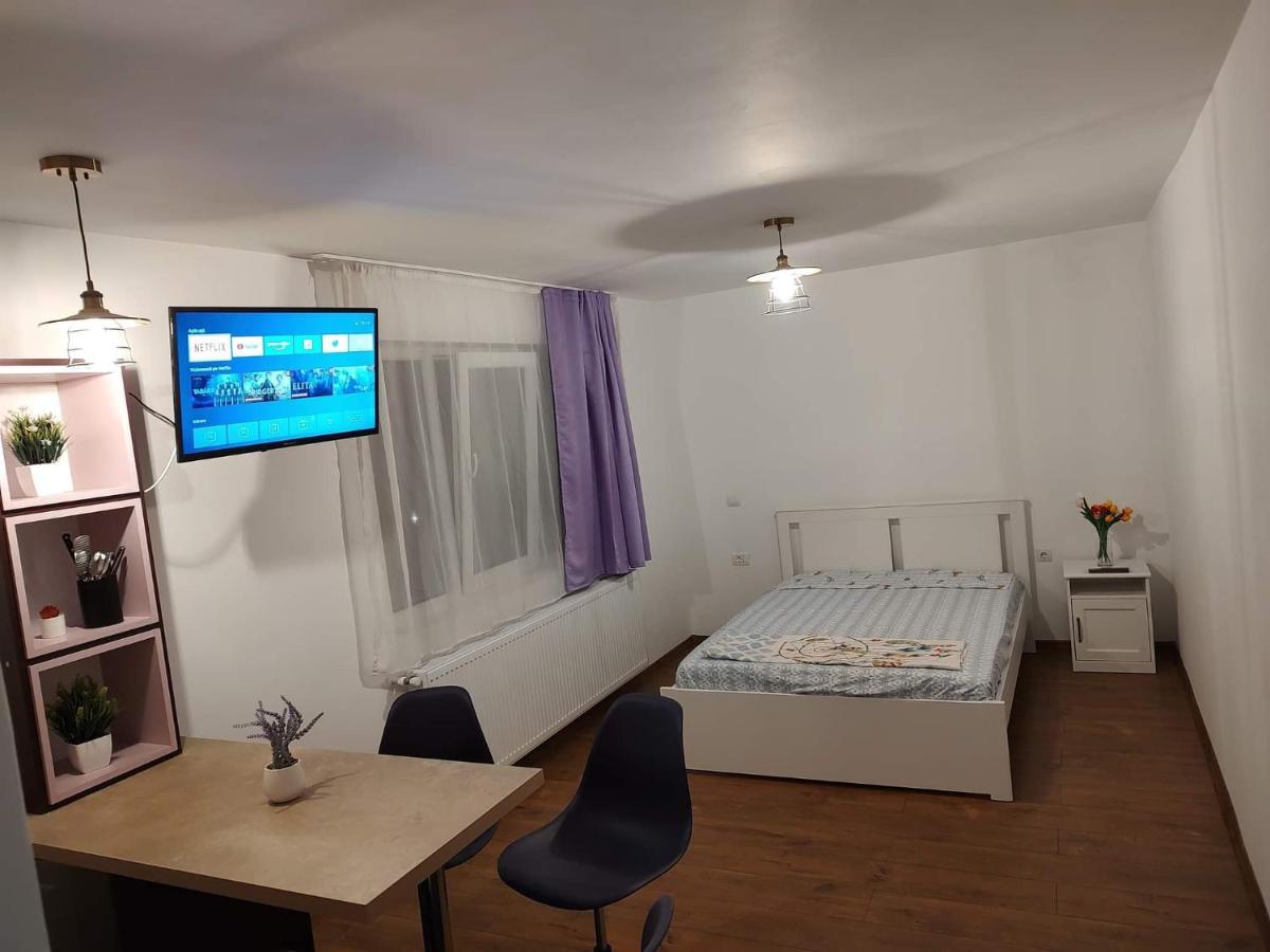 Garsoniera Dania&Petru 1 Apartment Târgu Ocna Exterior foto